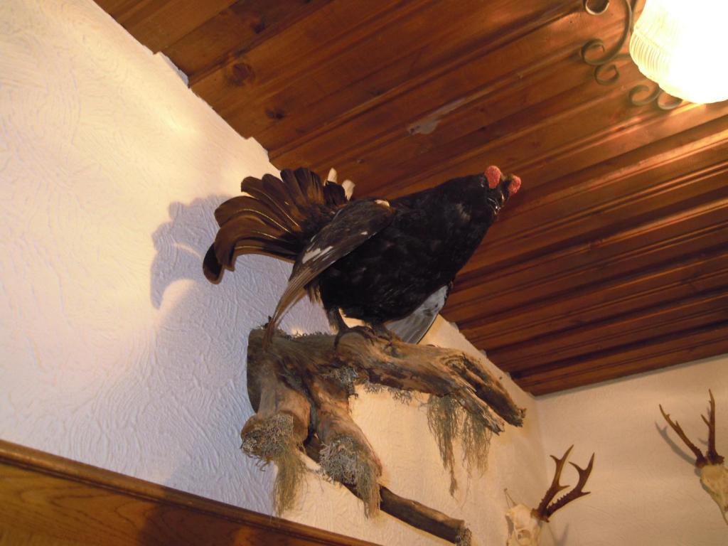 Bed & Breakfast Herzoggut Zell am See